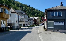 HammerStuene